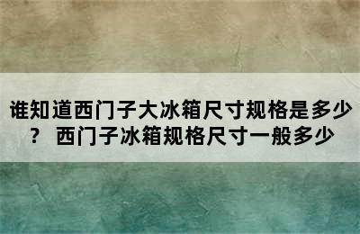 谁知道西门子大冰箱尺寸规格是多少？ 西门子冰箱规格尺寸一般多少